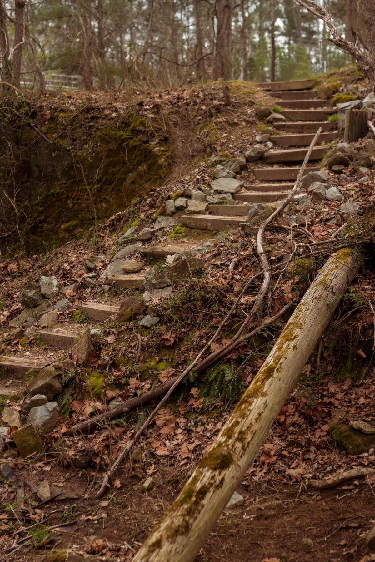 Eno River State Park