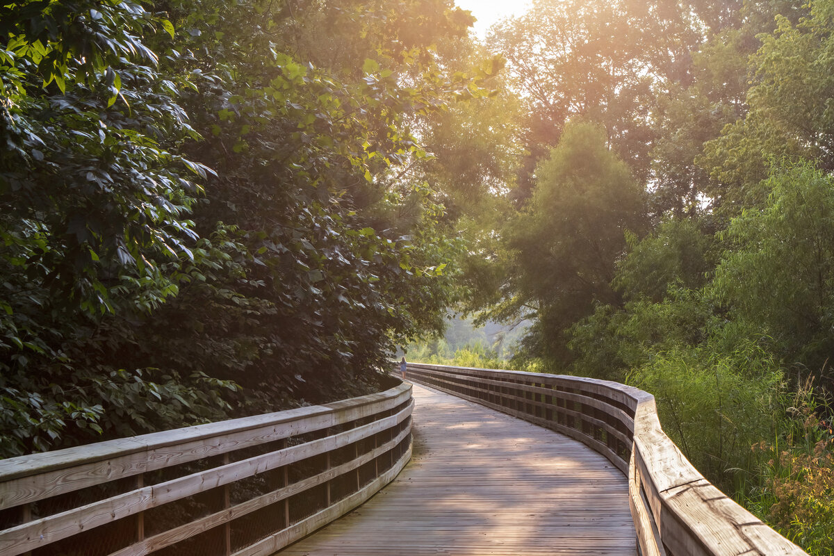 Trail Bridge Curve Sunset