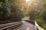 Trail Bridge Curve Sunset