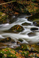 Great Smoky Mountains