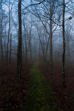 Into the unknown.