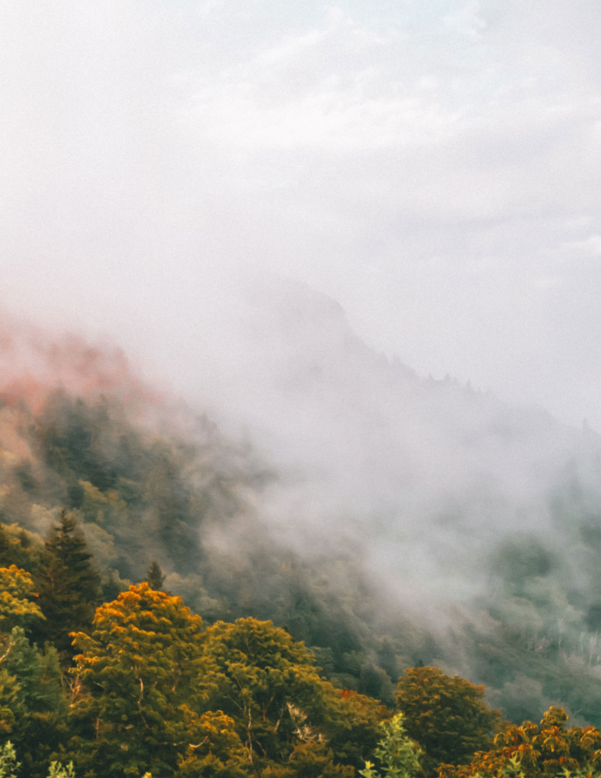 Foggy Mountain Ridge