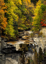 Taughannock Falls