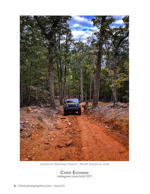 Uwharrie National Forest - North Carolina, USA