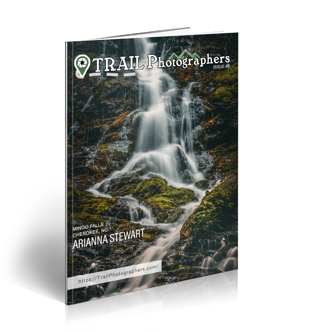Issue 2
