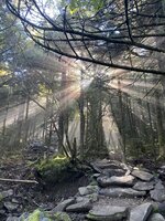 Grandfather Mountain