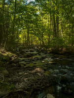 Souhegan River Tributary