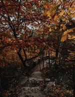 Hanging Rock State Park