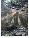 Grandfather Mountain