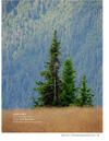Lone Pines