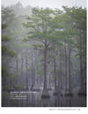 George L. Smith State Park
