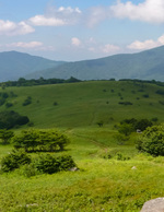 Hiking on the Appalachian Trail