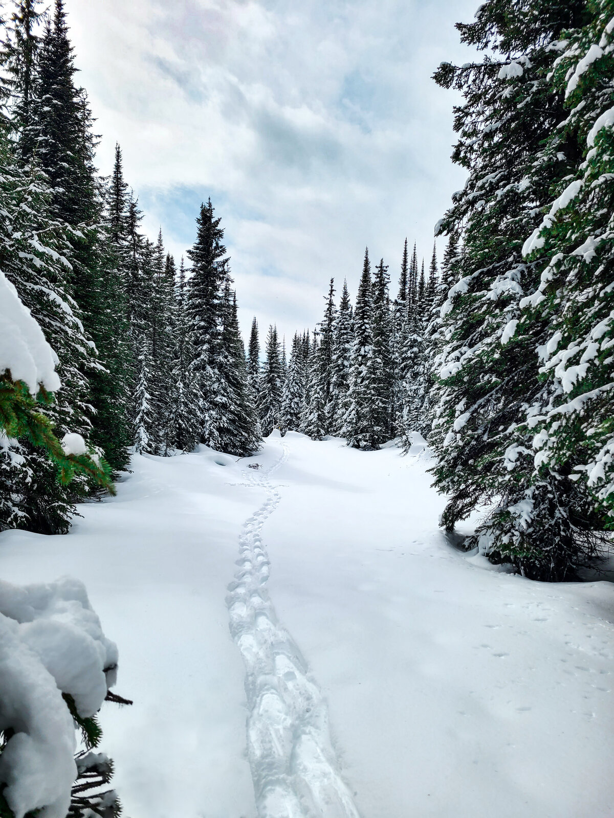 Snow Problem