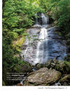 Nantahala National Forest