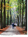 Zonnige herfstwandeling in de Bossen van Ermelo