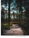 Carolina Beach State Park